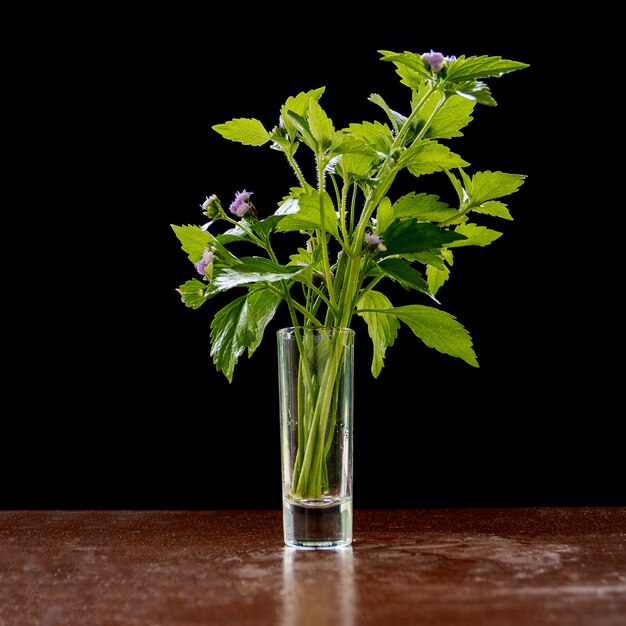 Flores en un pequeño jarrón de vidrio