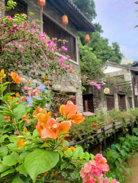 Flores perto do canal de água em uma vila chinesa