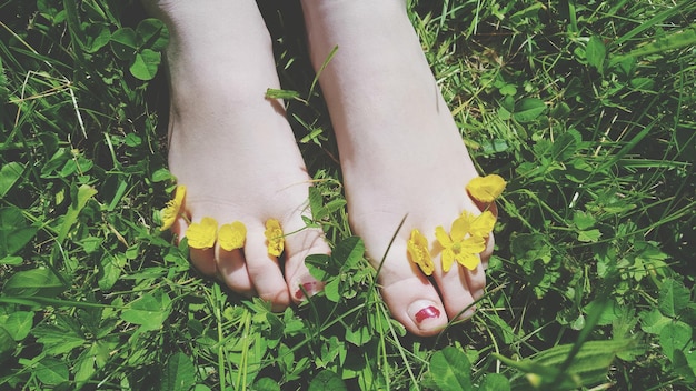 Foto flores en las piernas humanas