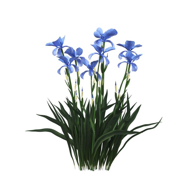 flores y plantas decorativas para el interior, aisladas sobre fondo blanco, ilustración 3D, cg re