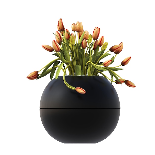 Foto flores y plantas decorativas para el interior, aisladas sobre fondo blanco, ilustración 3d, cg re