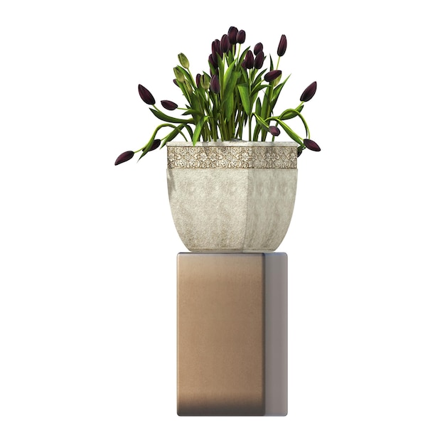 flores y plantas decorativas para el interior, aisladas sobre fondo blanco, ilustración 3D, cg re