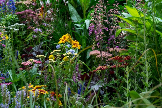 Foto flores y plantas decorativas en el jardín.