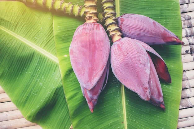 Flores de plátano en la hoja de plátano verde