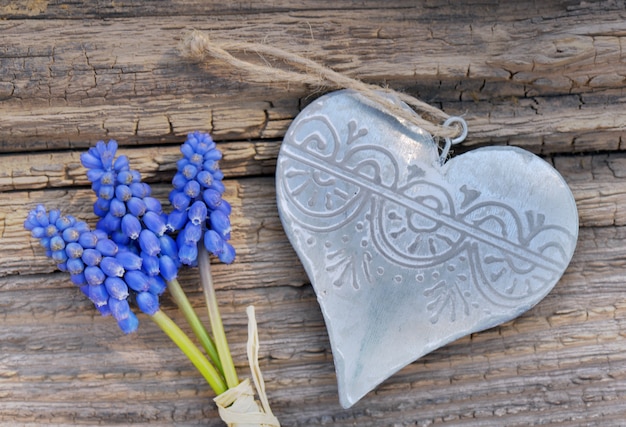 Flores de primavera azul y corazón de hierro sobre una tabla rústica