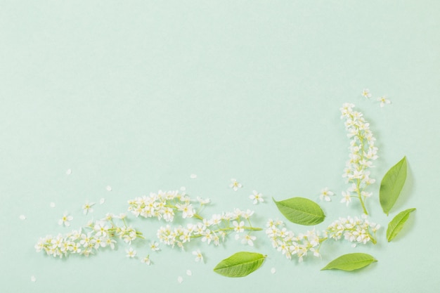 Flores de primavera blanca sobre fondo de papel