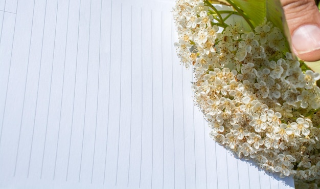 Flores de primavera coloridas en un cuaderno