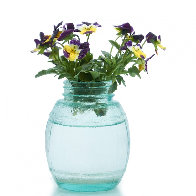 Flores de primavera en un florero de vidrio en blanco aislado