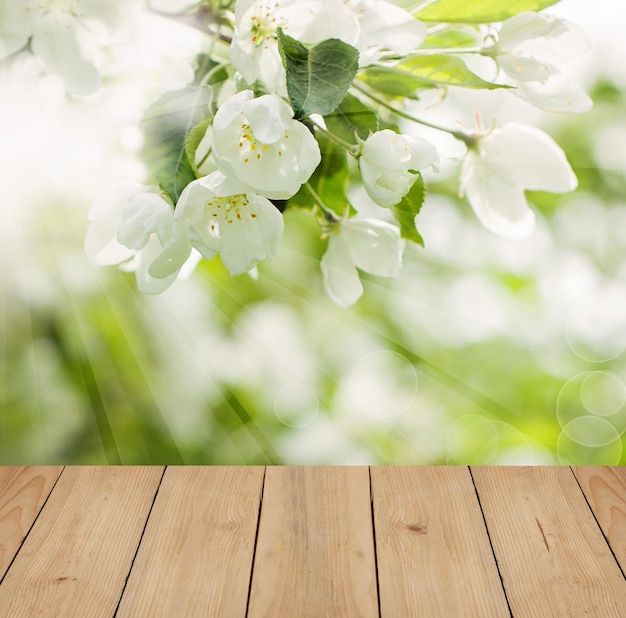 Flores de primavera y hojas verdes con mesa de madera vacía marrón Fondo de salud de primavera con espacio de copia