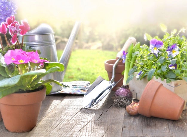 Foto flores de primavera en maceta y equipo de jardín en una mesa