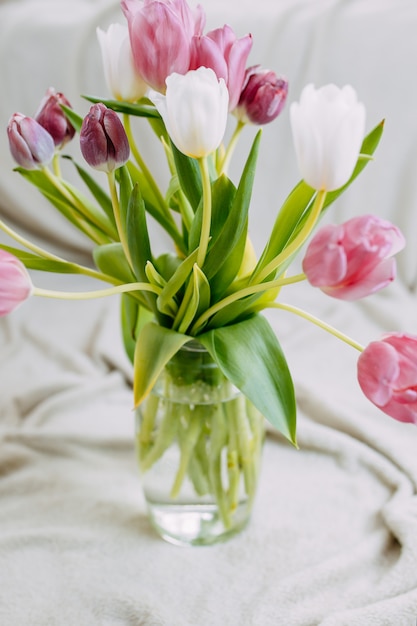 Flores de primavera, ramo de tulipanes en el florero de vidrio. Tulipanes blancos y rosados en cuadros beige.