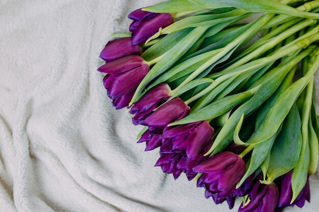 Flores de primavera, ramo de tulipanes morados en cuadros beige.