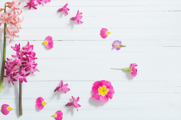 Flores de primavera rosa sobre fondo blanco de madera