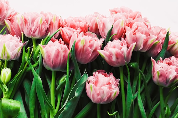 Flores de primavera sobre fondo de mármol como tarjeta de felicitación de regalo de vacaciones y concepto floral flatlay