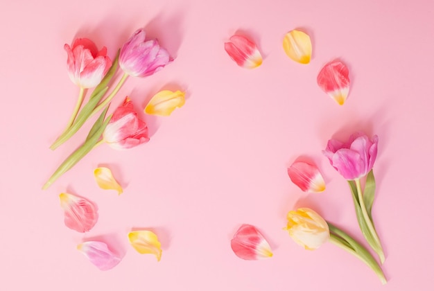 Flores de primavera sobre fondo rosa