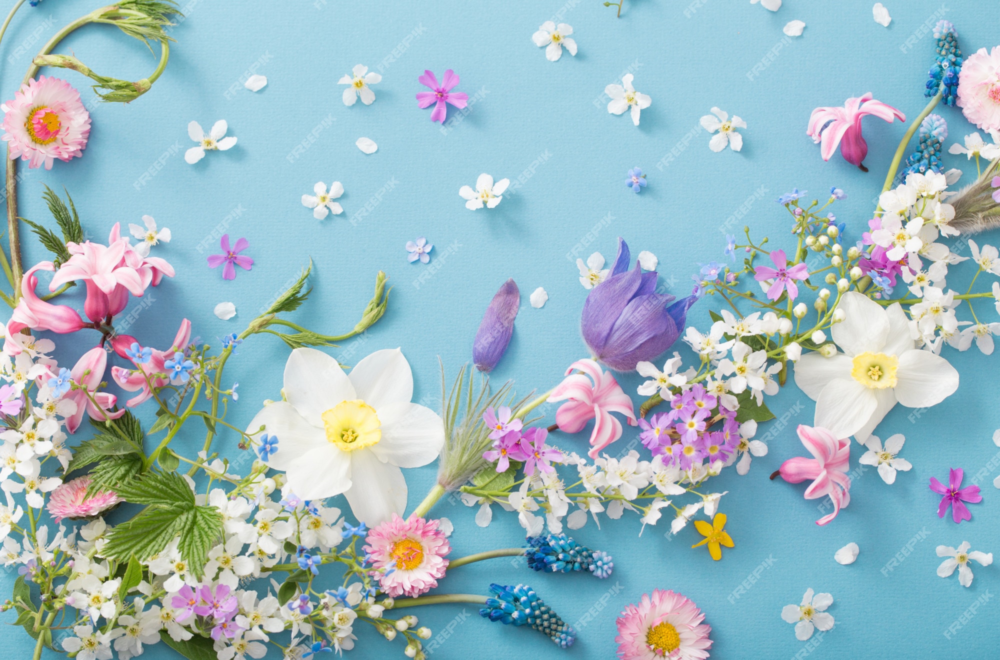 Flores de primavera sobre papel | Foto Premium