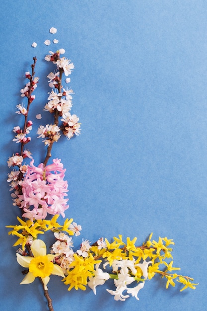 Flores de primavera en la superficie del papel azul