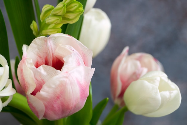 Flores de primavera, tulipanes y jacintos.