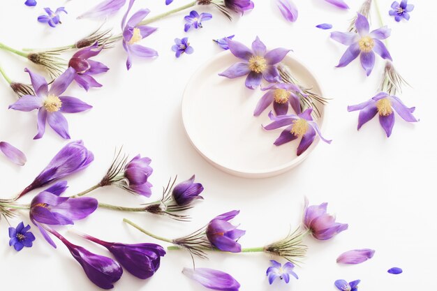 Flores de primavera violeta sobre un fondo blanco.