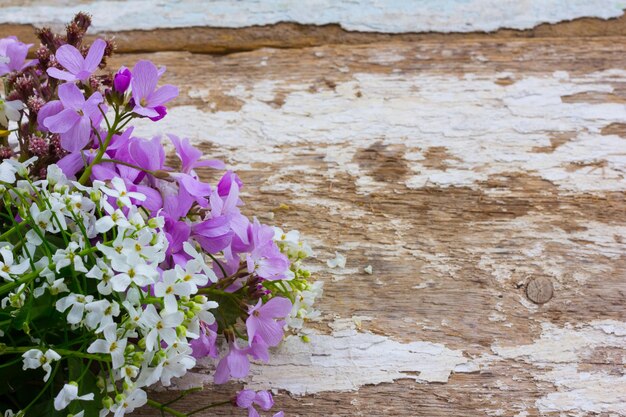 Foto las flores de primavera