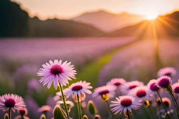 flores púrpuras en un campo con montañas en el fondo