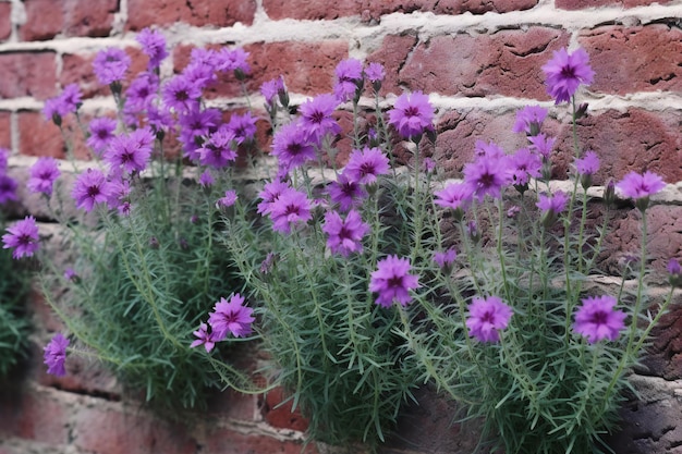Flores púrpuras frente a una pared de ladrillo con espacio para copiar