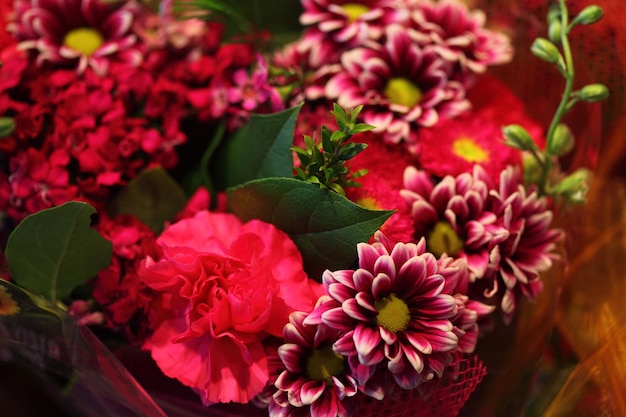 Flores que crescem ao ar livre