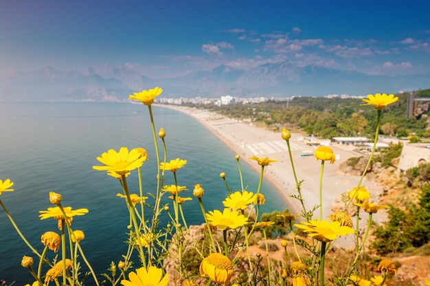 Flores que florecen con la famosa playa de Konyaalti en el fondo vista panorámica escénica desde lo alto de un acantilado Destinos turísticos de Turquía y Antalya y la riviera mediterránea en primavera