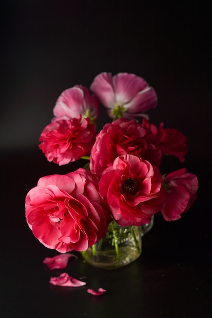 Flores de ranunculus rojo sobre negro