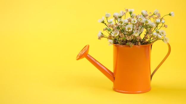 Flores en una regadera en miniatura sobre un fondo amarillo Concepto de cuidado de plantas Lugar para texto Copiar espacio