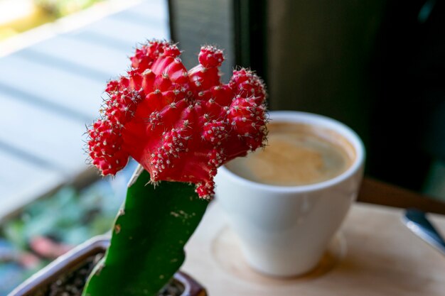 Flores rojas en la mesa de café.