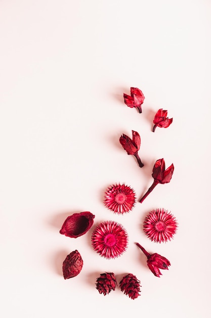 Flores rojas secas en fondo rosado, tapa plana y vista vertical