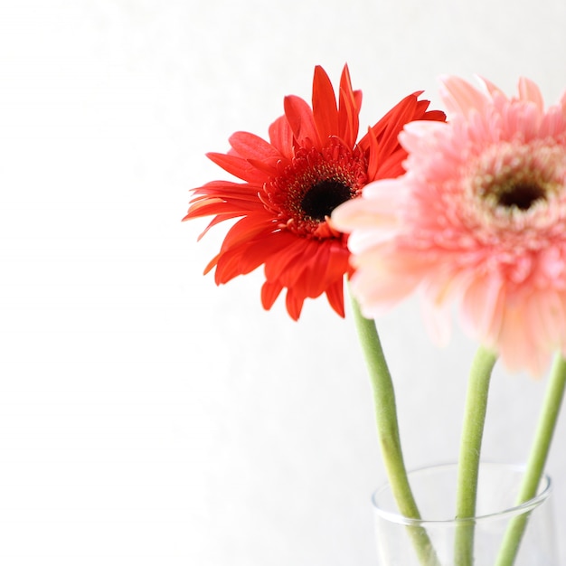 Foto flores rojas sobre fondo blanco para aniversario, cumpleaños, boda marco floral