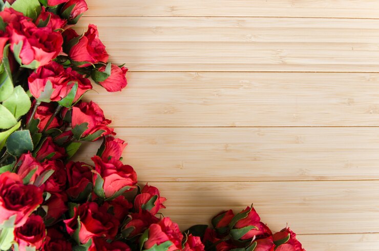Foto flores rosa arranjado fundo com copyspace