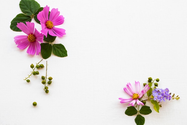 Foto flores rosa arranjo cosmos plano leigos estilo cartão postal