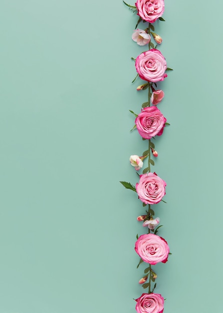 Foto flores de rosa dispuestas en línea aisladas sobre un fondo azul papel de pared para teléfonos inteligentes