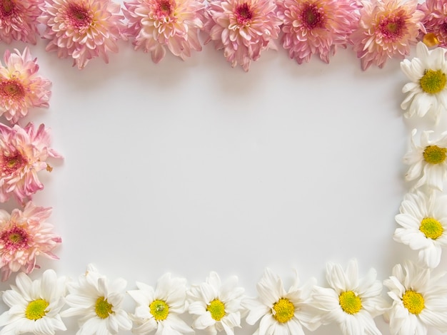 Flores rosadas y blancas, se llaman crisantemo, colocadas alrededor del marco.