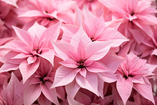 Foto flores rosadas en una canasta flores rosadas