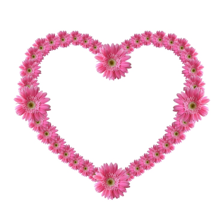 Foto flores rosadas en forma de corazón contra un fondo blanco