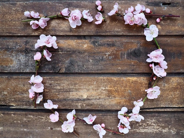 Flores rosadas de manzano o melocotonero sobre tablas de madera Delicadas inflorescencias dispuestas en círculo Enfoque suave Tema de primavera vacaciones spa belleza hogar interior Copiar espacio plano Bodegón