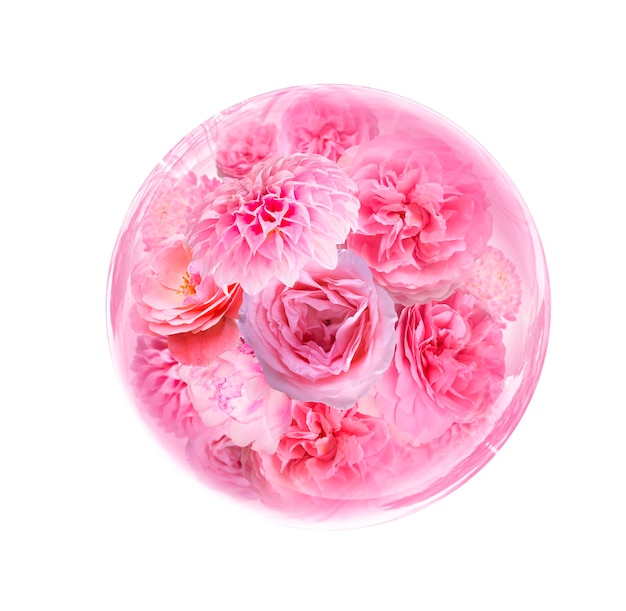 flores rosadas y molécula