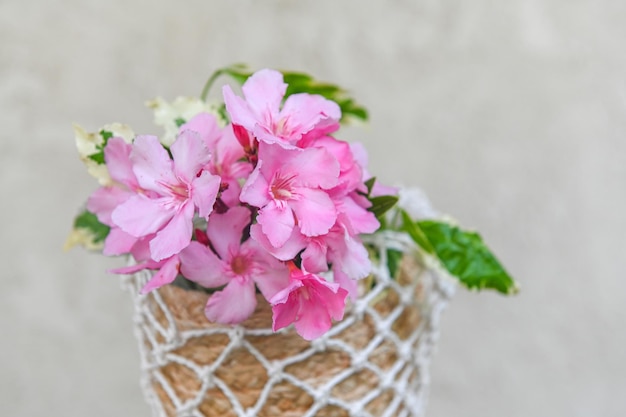 Flores rosadas de rododendro en una cesta de pajitas trenzadas sobre un fondo de textura blanca