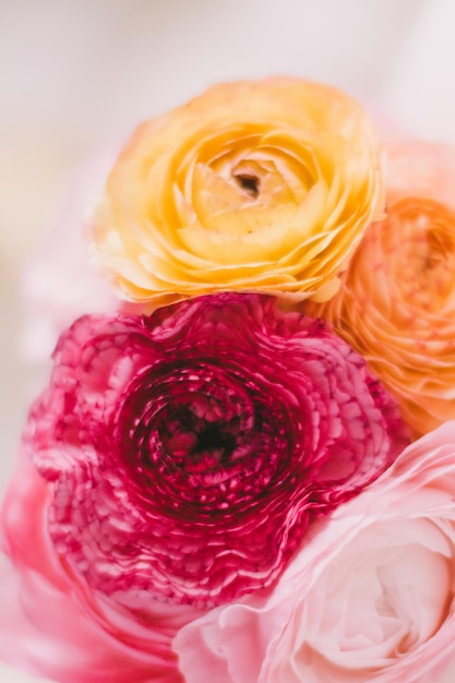 Flores rosas buquê de noiva feriado de casamento e conceito de jardim floral