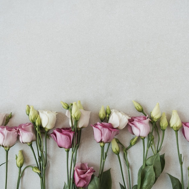 Flores rosas em cinza