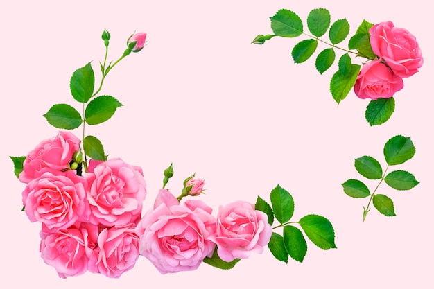Flores rosas y hojas verdes sobre una composición de fondo rosa con espacio de copia aislado en