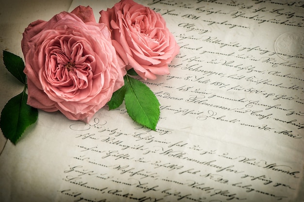 Foto flores rosas rosadas y antigua carta manuscrita. fondo de papel vintage. imagen en tonos de estilo retro con viñeta. enfoque selectivo