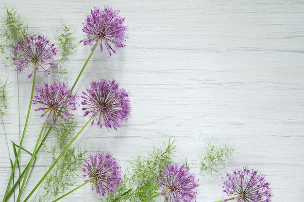 Flores roxas decorativas de cebola Allium no caule e espaço de cópia de fundo de mesa rústica de madeira branca Belo fundo de primavera