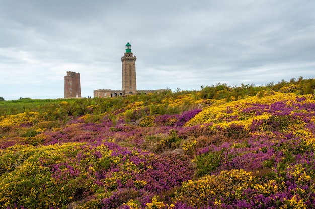 Flores roxas e amarelas no verão em Phare Du Cap Frehel, é um farol marítimo em Cotes-dÃƒÂ‚Ã‚Â´Armor (França). Na ponta do Cap Frehel