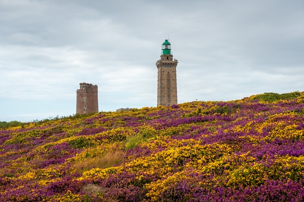 Flores roxas e amarelas no verão em Phare Du Cap Frehel, é um farol marítimo em Cotes-dÃƒÂ‚Ã‚Â´Armor (França). Na ponta do Cap Frehel