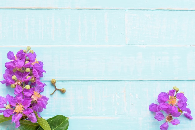 Foto flores roxas em um fundo de madeira azul brilhante pastel